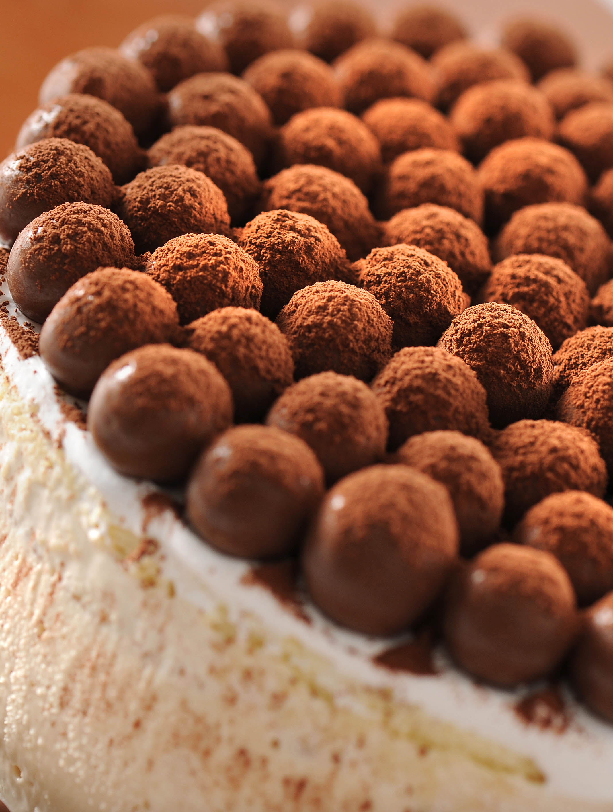 Chocolate truffle cake with cocoa dusted balls — food photography Dubai